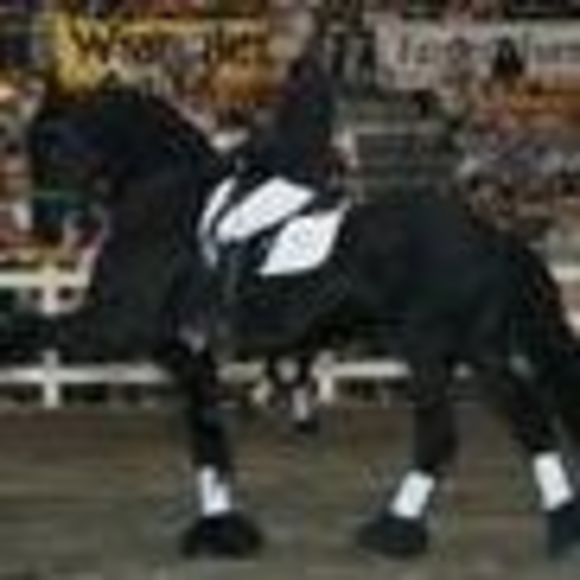 Meet your Posher, Hope - Picture 1 of 1